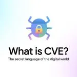CVE কি | Common Vulnerabilities and Exposures bangla | Bug Mohol